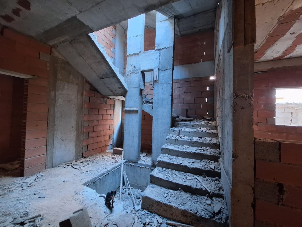 صورة العقار