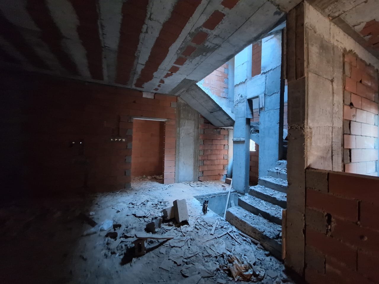 صورة العقار